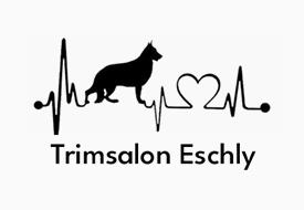 imsalon eschly